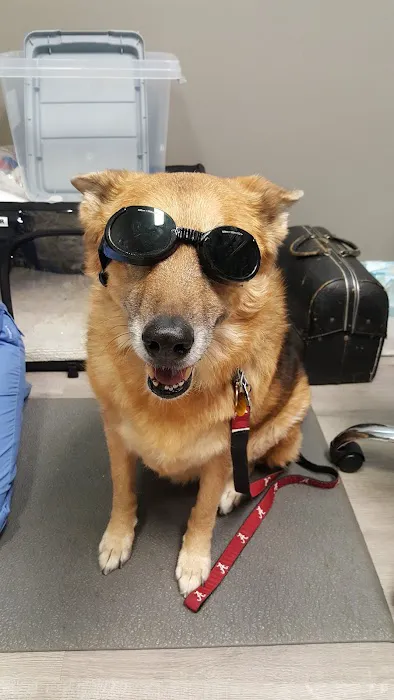 All Creatures Pet Hospital Picture 4