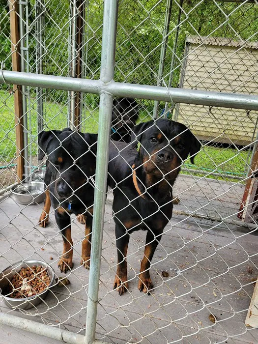 Center Point Animal Clinic Picture 2