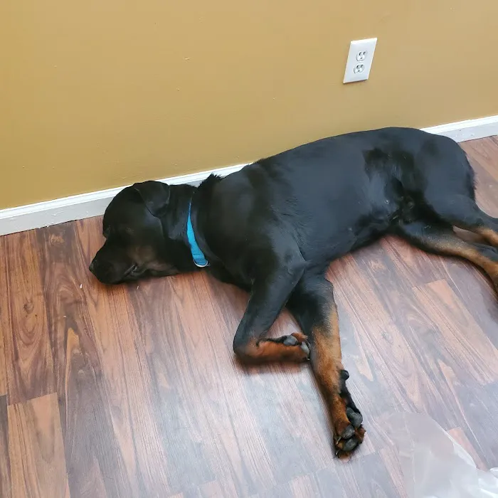 Center Point Animal Clinic Picture 6