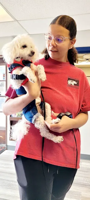 Center Point Animal Clinic Picture 10