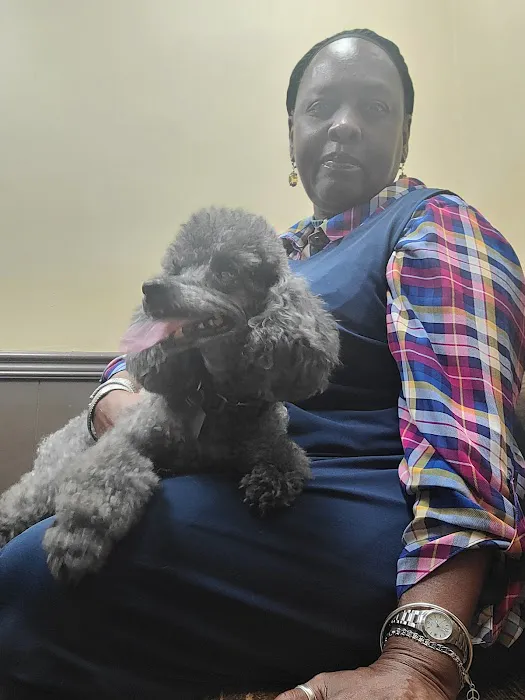 Westwood Animal Hospital Picture 5