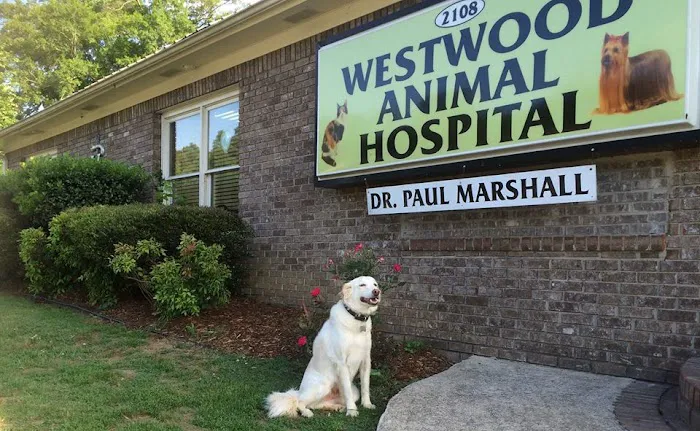 Westwood Animal Hospital Picture 8