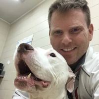 Forestdale Veterinary Clinic ico