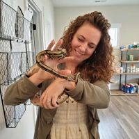 Midwest Veterinary Clinic ico