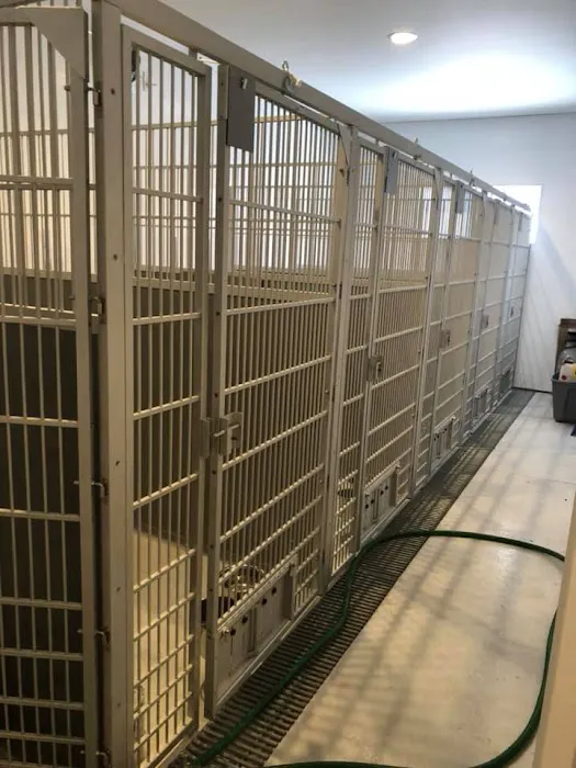 Midwest Veterinary Clinic Picture 8