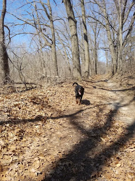 Woodland Vet Picture 9