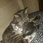 La Porte City Vet Clinic