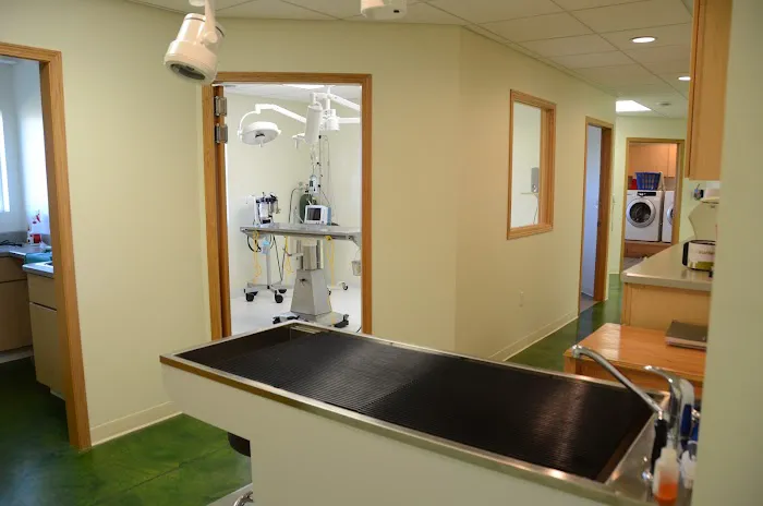 Vinton-Urbana Veterinary Hospital Picture 3