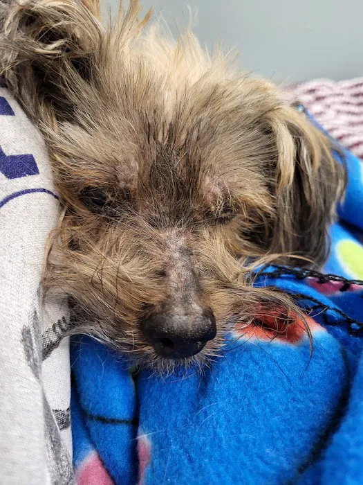 Graham Animal Hospital Picture 3