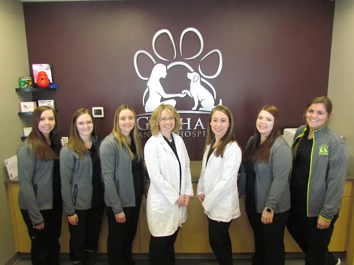 Graham Animal Hospital Picture 4