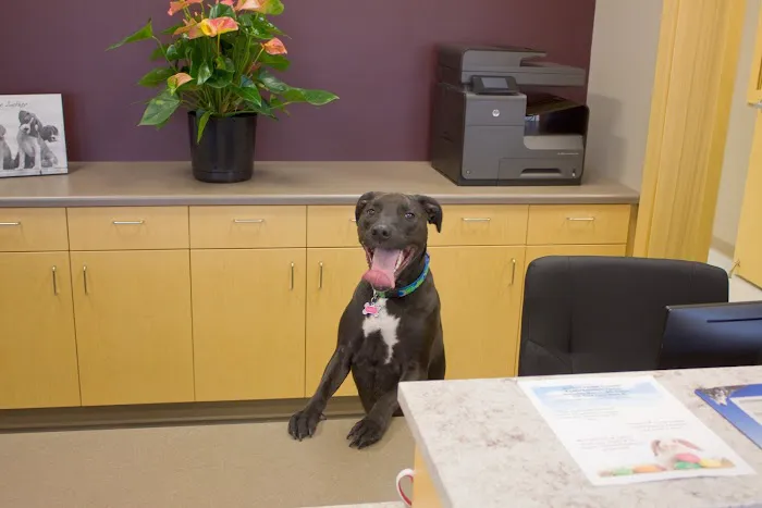 Graham Animal Hospital Picture 5