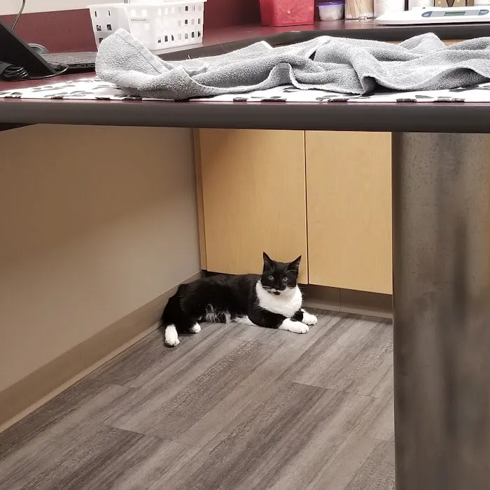 Graham Animal Hospital Picture 7