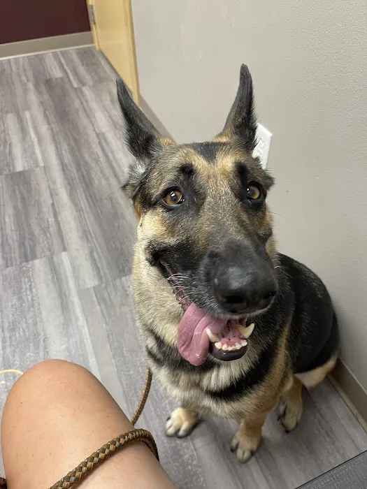 Graham Animal Hospital Picture 9