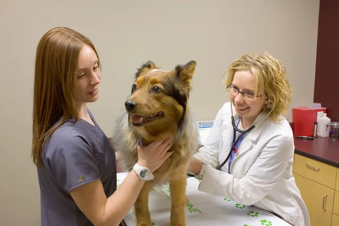 Graham Animal Hospital Picture 10