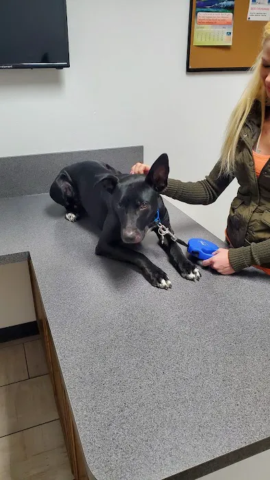 Manchester Animal Med Ctr Picture 4