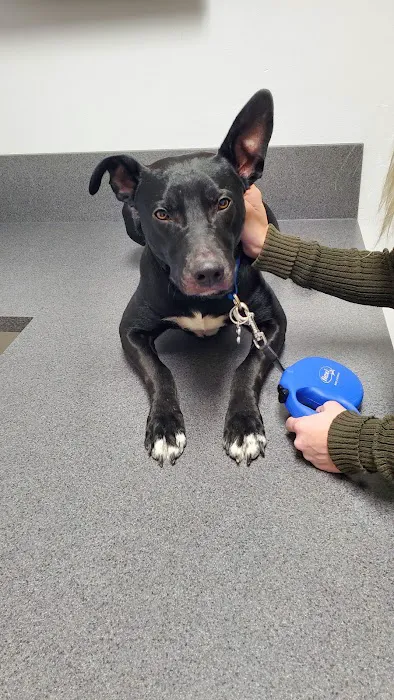 Manchester Animal Med Ctr Picture 9