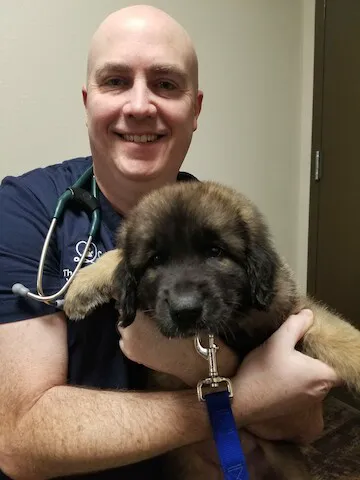 The Hometown Veterinarian Picture 5