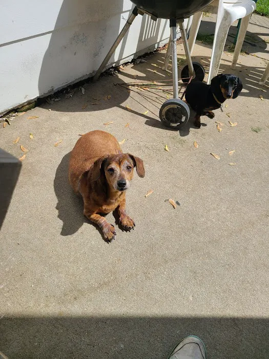 Animal Medical Clinic Picture 4