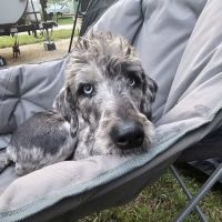 Keystone Veterinary Clinic ico