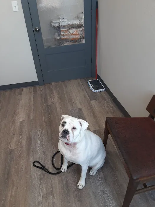 Keystone Veterinary Clinic Picture 3