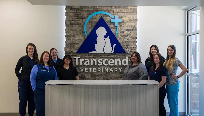 Transcend Veterinary Pet Urgent Care Picture 7