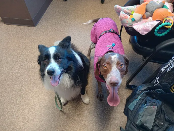 Pulaski Veterinary Clinic - Pulaski, Wisconsin Picture 3