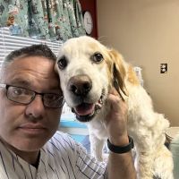Veterinary House Calls ico
