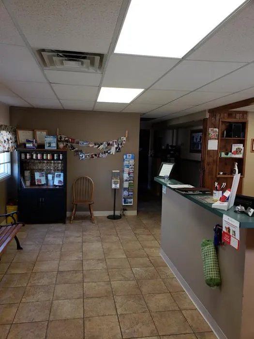 Veterinary House Calls Picture 9