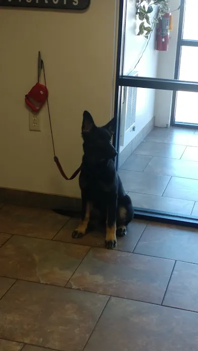 Hometown Veterinary Clinic Picture 3