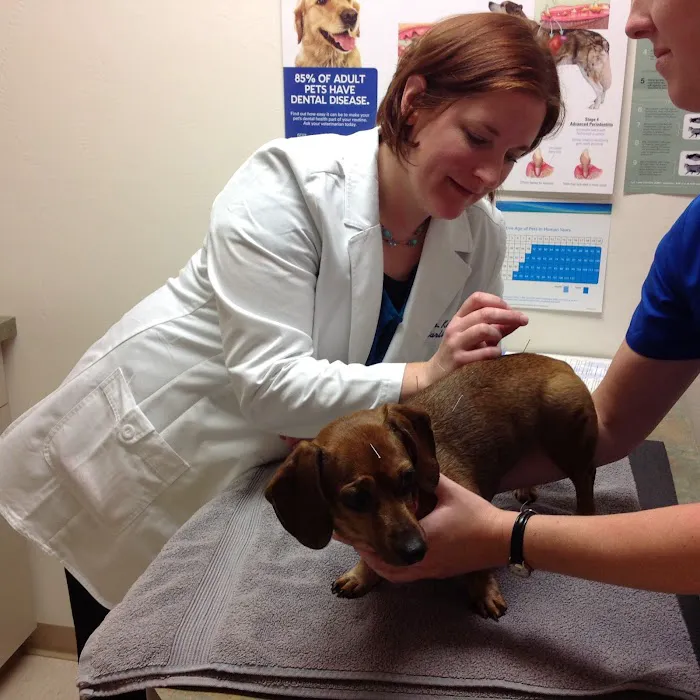 Hometown Veterinary Clinic Picture 6
