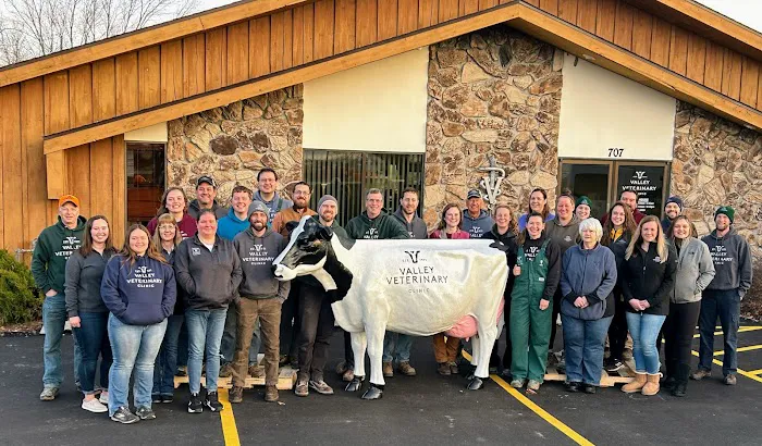 Valley Veterinary Clinic- Cattle Picture 2