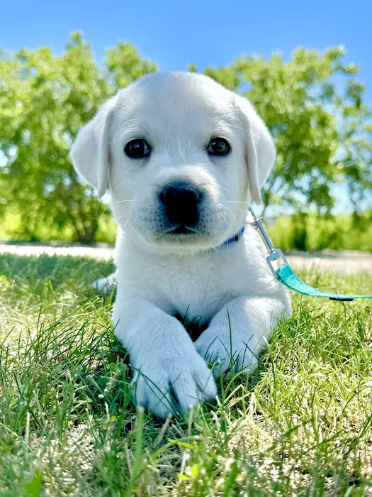 Trout Creek Veterinary Center, LLC. Dr. Tracy Kusik, DVM Picture 7