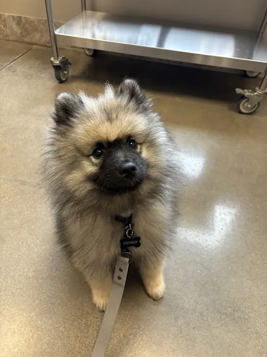 Trout Creek Veterinary Center, LLC. Dr. Tracy Kusik, DVM Picture 8