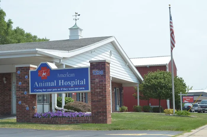 American Animal Hospital Picture 5