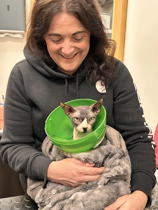 Health Veterinary Imaging Picture 2