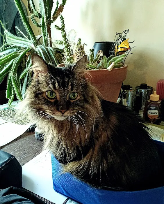 CountrySide Veterinary Health Picture 1