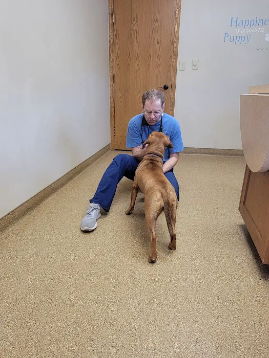 Fox River Animal Hospital Picture 4