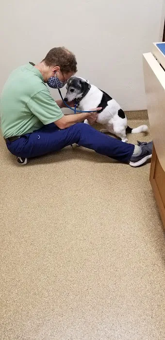 Fox River Animal Hospital Picture 5