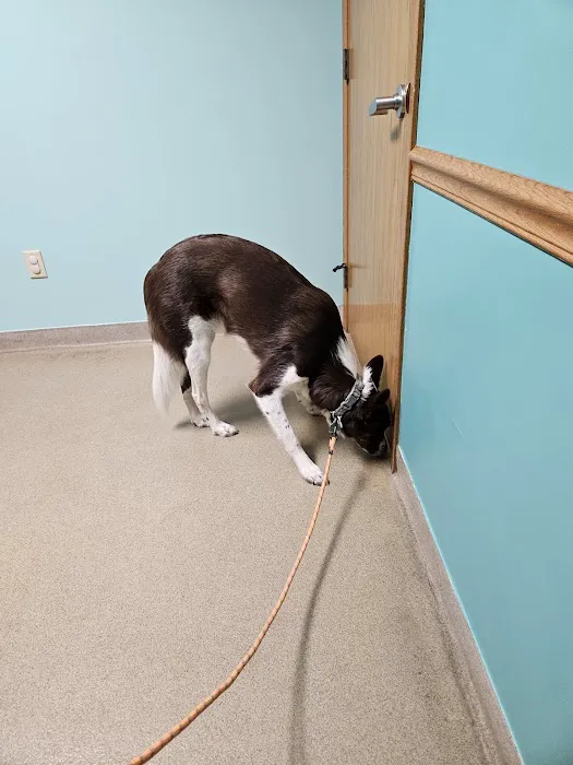 Birch Bark Veterinary Care Picture 4