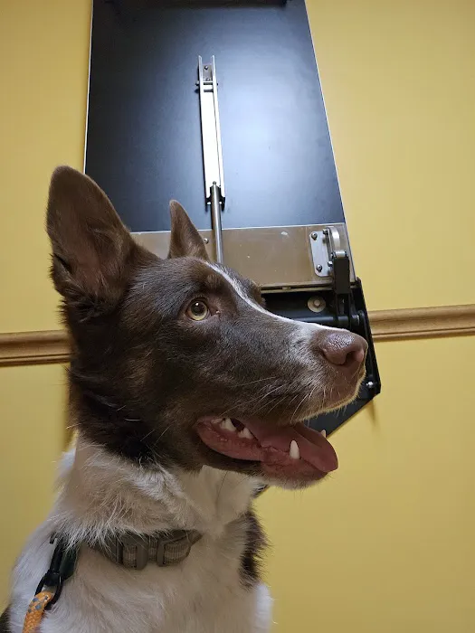 Birch Bark Veterinary Care Picture 3