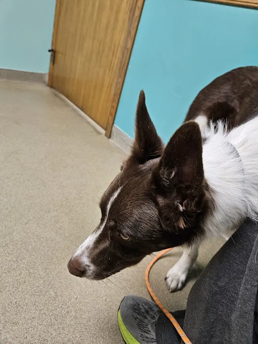 Birch Bark Veterinary Care Picture 5