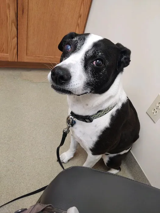 Birch Bark Veterinary Care Picture 6