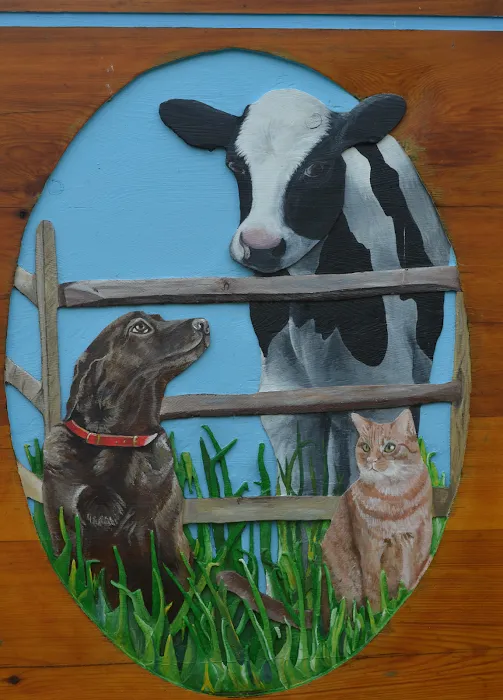 Birnamwood Veterinary Services: Nelson Wendy DVM, Zenkovich Becky DVM Picture 4