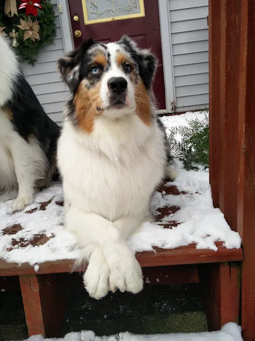 Northwoods Veterinary Services Picture 9