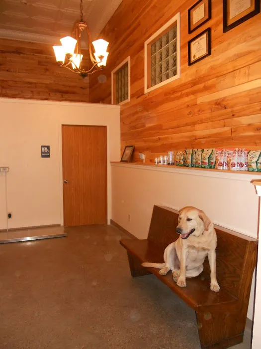 St. Bernard's Animal Medical Center Picture 4