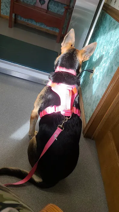 Randolph Veterinary Clinic Picture 2