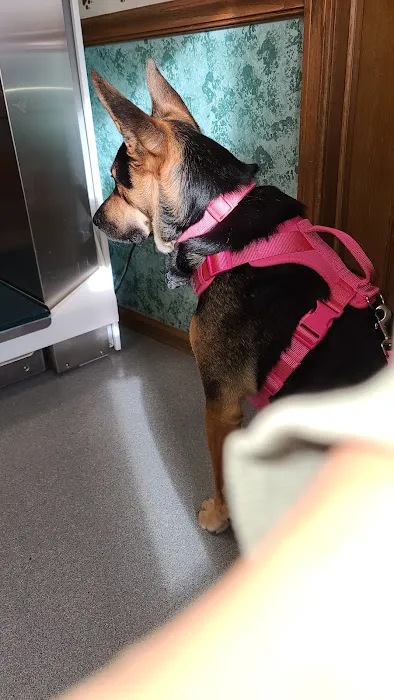 Randolph Veterinary Clinic Picture 1