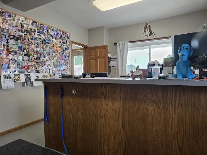 Randolph Veterinary Clinic Picture 5
