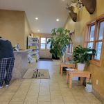 Marsh View Veterinary Clinic
