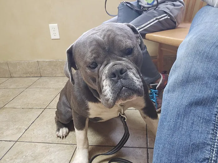 Marsh View Veterinary Clinic Picture 6
